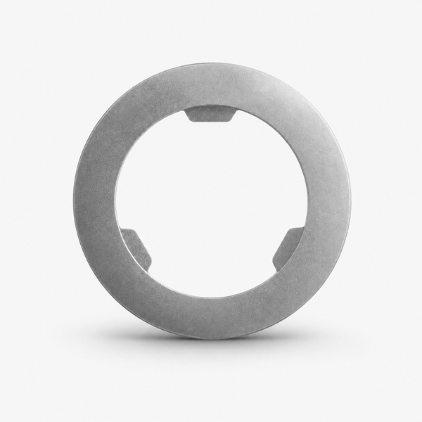 Magnetische ring